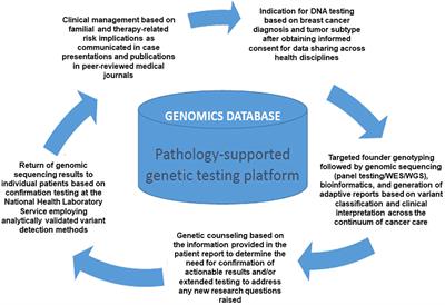 Frontiers | Implementation Of Multigene Panel Testing For Breast And ...